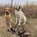 Dennis Pieper - Facebook