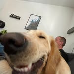 Dennis Pilely Pedersen - @dennispilely - Instagram