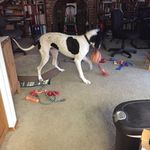Dennis Pilgrim - @dennispilgrim - Instagram