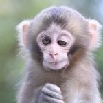 Dennis Piller - @pvpilla - Instagram