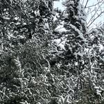dennis michael pilotti - @dennis_pilotti - Instagram