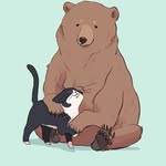 Dennis pilot - @kitty_and_the_bear - Instagram