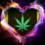 Dennis Pinto - @roger_d_menace420 - Instagram