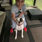 Dennis Pinto - @dennis.pinto.568 - Instagram