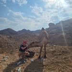 Dennis Piotrowski - @piotrowski_dennis - Instagram