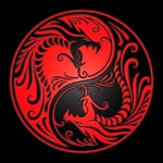 Dennis Nijman  vudoe priest - @dennisnijman - Instagram