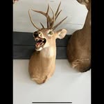Dennis Priest - @akthelegend68 - Instagram