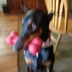 Dennis Pyle - @pyle_dennis - Instagram