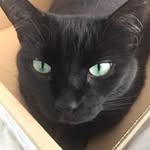 Dennis Pyle - @dlpyle2000 - Instagram