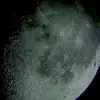 dennispyles0571 - @dennispyles0571 - TikTok