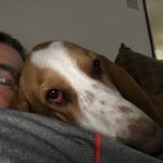 Dennis Queen - @dlqrazorbackdad5259 - Instagram