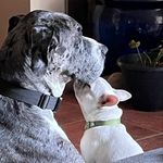 Dennis Quick - @quick.dennis - Instagram