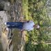 Dennis Ramey - Facebook