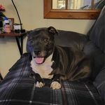 Dennis Raney - @dennis.raney.129 - Instagram