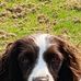 Dennis Rees - Facebook