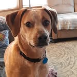 Dennis Riggs - @driggs12000 - Instagram