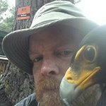 Dennis Robson - @dennisrobson - Instagram