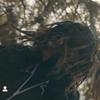 d rod - @dennis.roddyyy1 - TikTok
