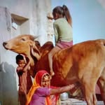 Dinesh Dinesh Rathore - @dennisroddy88 - Instagram