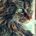 Dennis Root - Facebook