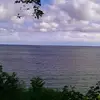 Dennis Roote - @dennis.roote - TikTok