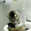 Dennis Ruhl - @dennisruhl2 - TikTok