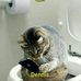 Dennis Ruhl - Facebook