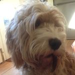 Rupert Dennis - @rupertdennis - Instagram