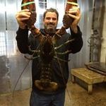 Dennis Russo - @danalidude - Instagram