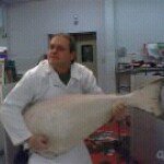 Dennis Sams - @grafy02 - Instagram