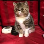 Dennis Sanders - @dennissanders9763 - Instagram