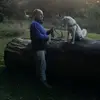 Dennis Schade - @dennis.schade37 - TikTok