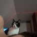 Dennis Schaefer - Facebook