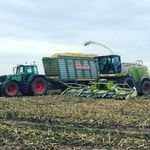 Dennis Scheele - @dennisscheele - Instagram