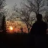 Dennis Scheller - @dennisscheller2 - TikTok