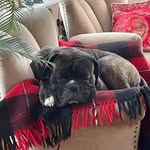 Dennis Selberg - @dennis.selberg - Instagram