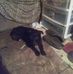 Dennis Shanklin - Facebook