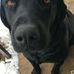 Dennis Shead - Facebook