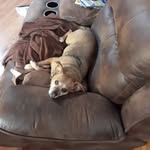Dennis W Sheffield Jr - @denniswsheffield - Instagram