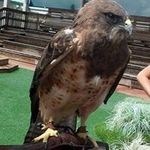 Dennis Shields - @shields.dennis - Instagram