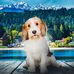 Cozy Culinary Mysteries - Dennis Shock - Facebook