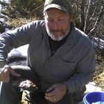 Dennis Shockley - @oldgoldpanner - Instagram