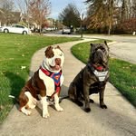 Mary Dennis Shockley - @mary_dennis - Instagram