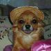 Dennis Shore - Facebook