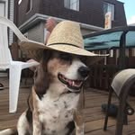 Dennis Slater - @onthemovetransportation - Instagram