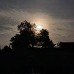 Dennis Slavin - @slavin_dennis - Instagram