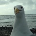 dennis_smith - @dennis_smith - Instagram