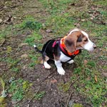 Dennis Spinner - @steelaction - Instagram