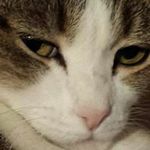 Dennis Staton - @dennisstaton - Instagram