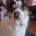 Dennis Staton - Facebook